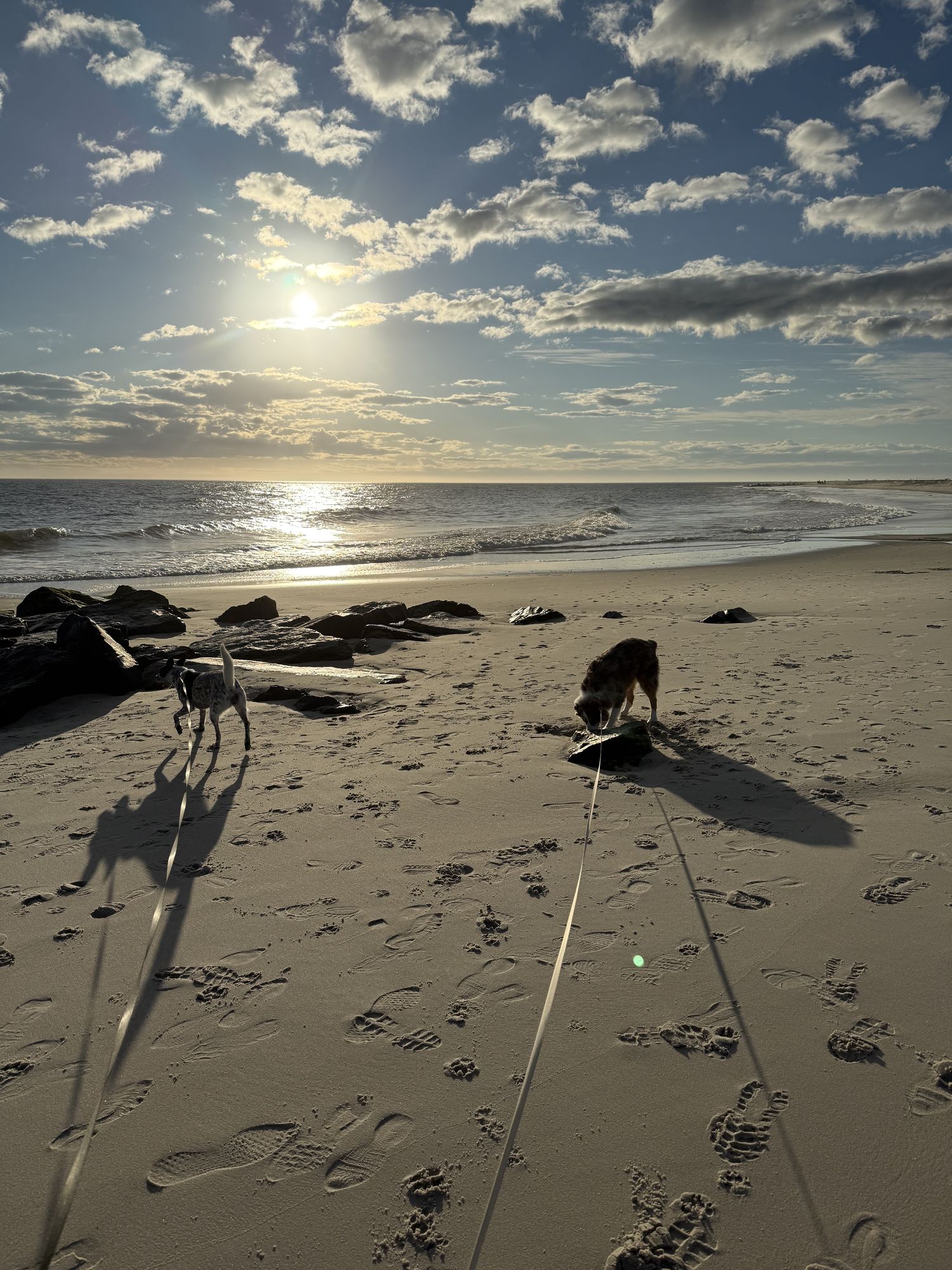 Sunset over the Cape May shoreline